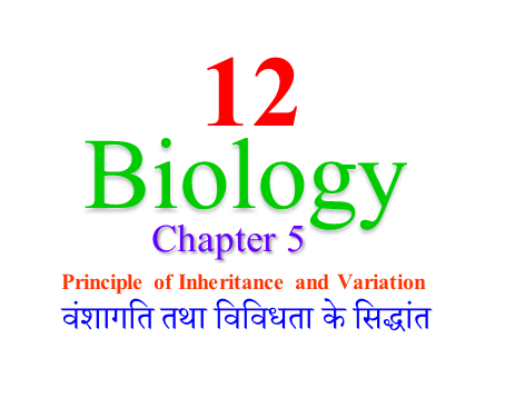 Read more about the article Biology Class 12th, जीवविज्ञान (अध्याय 5: वंशागति तथा विविधता के सिद्धांत)