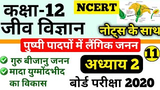 Read more about the article कक्षा 12 जीवविज्ञान (अध्याय 2: पुष्पी पादपो में लैगिक जनन) Biology Objective Question With Answer 2021