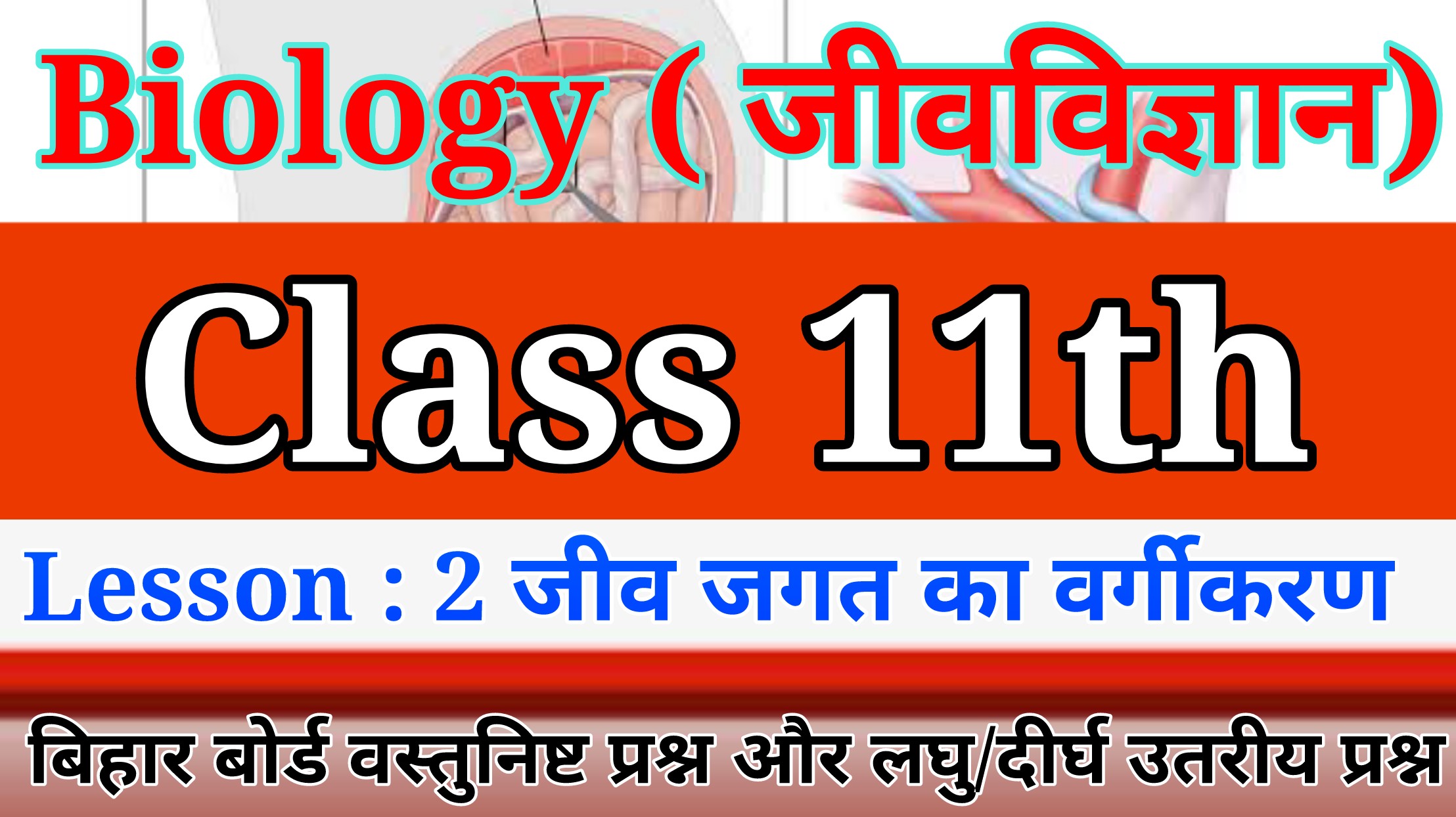 Read more about the article Biology जीवविज्ञान Class 11th Lesson 2 जीव जगत का वर्गीकरण | Bihar Board Chapter 2 Jivvigyan